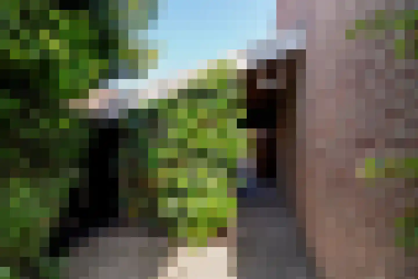 Lisstraat 33 Oisterwijk thumbnail 48