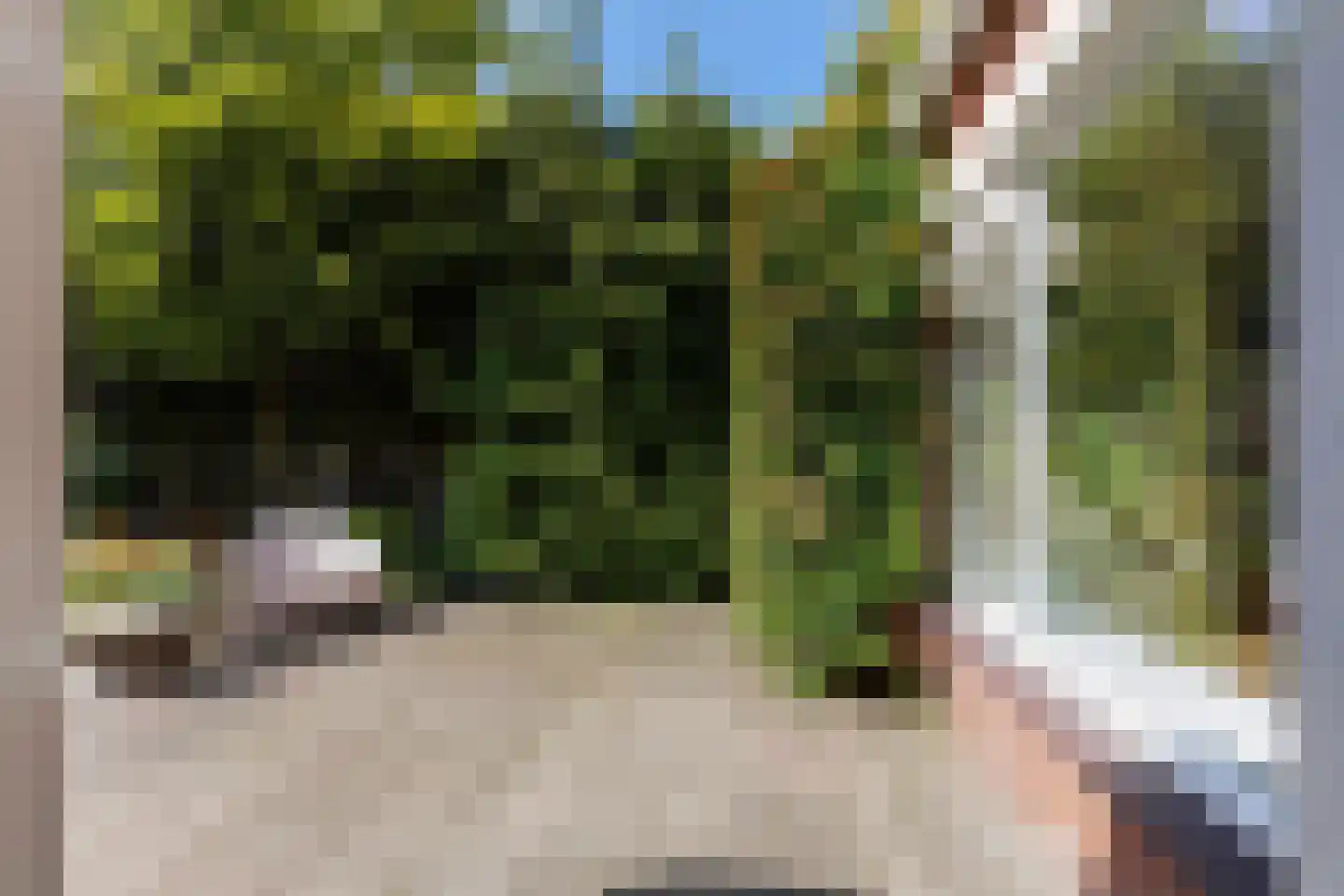 Lisstraat 33 Oisterwijk thumbnail 49