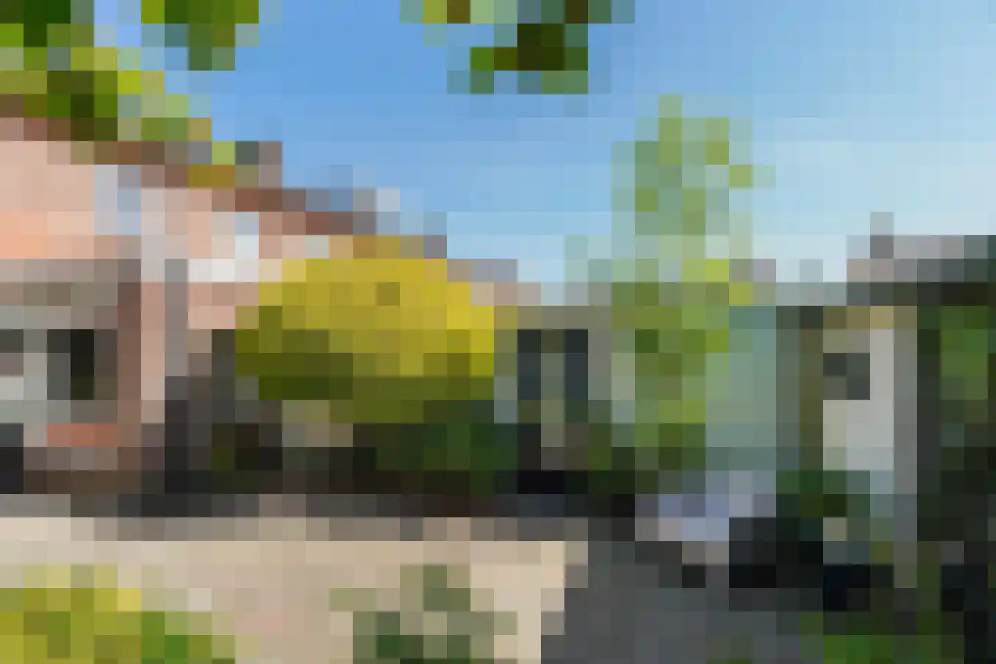 Lisstraat 33 Oisterwijk thumbnail 55