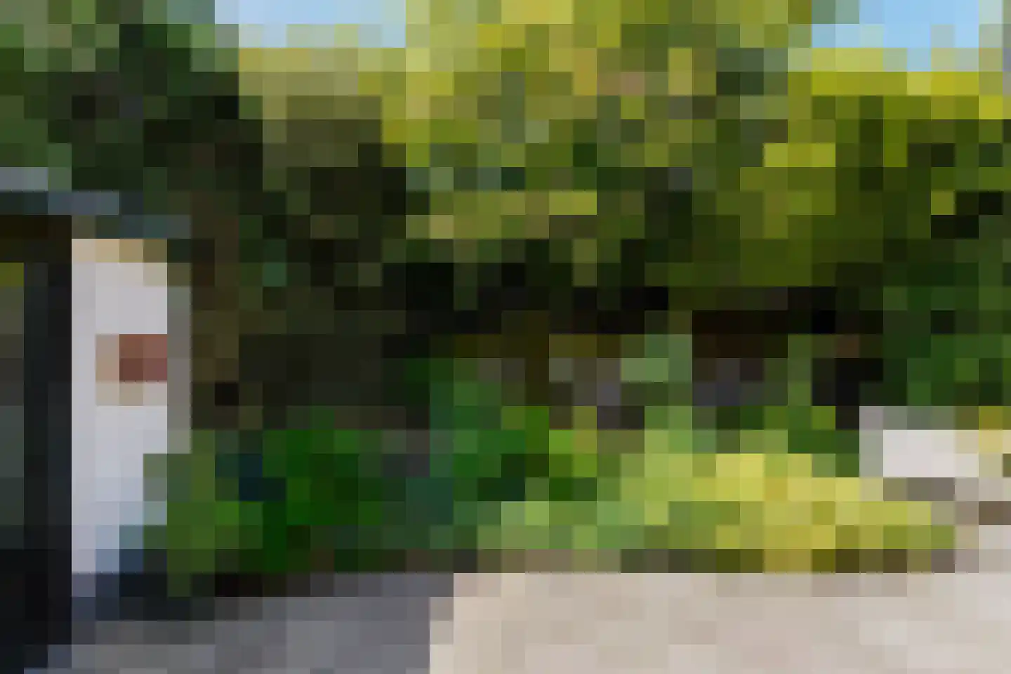 Lisstraat 33 Oisterwijk thumbnail 56