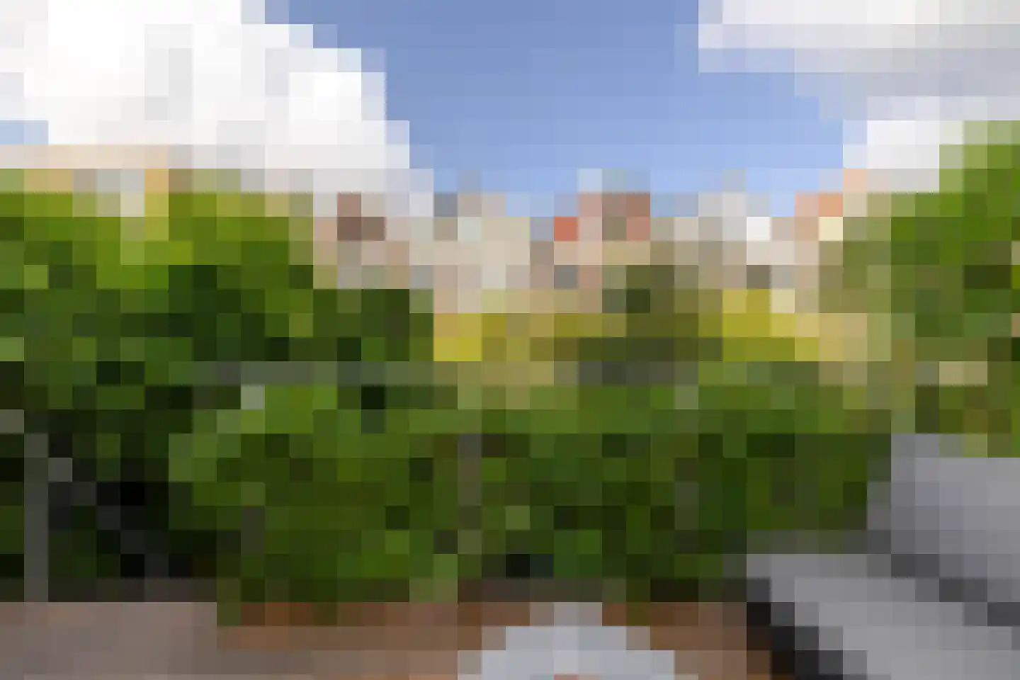 Lisstraat 35 B Rotterdam thumbnail 11