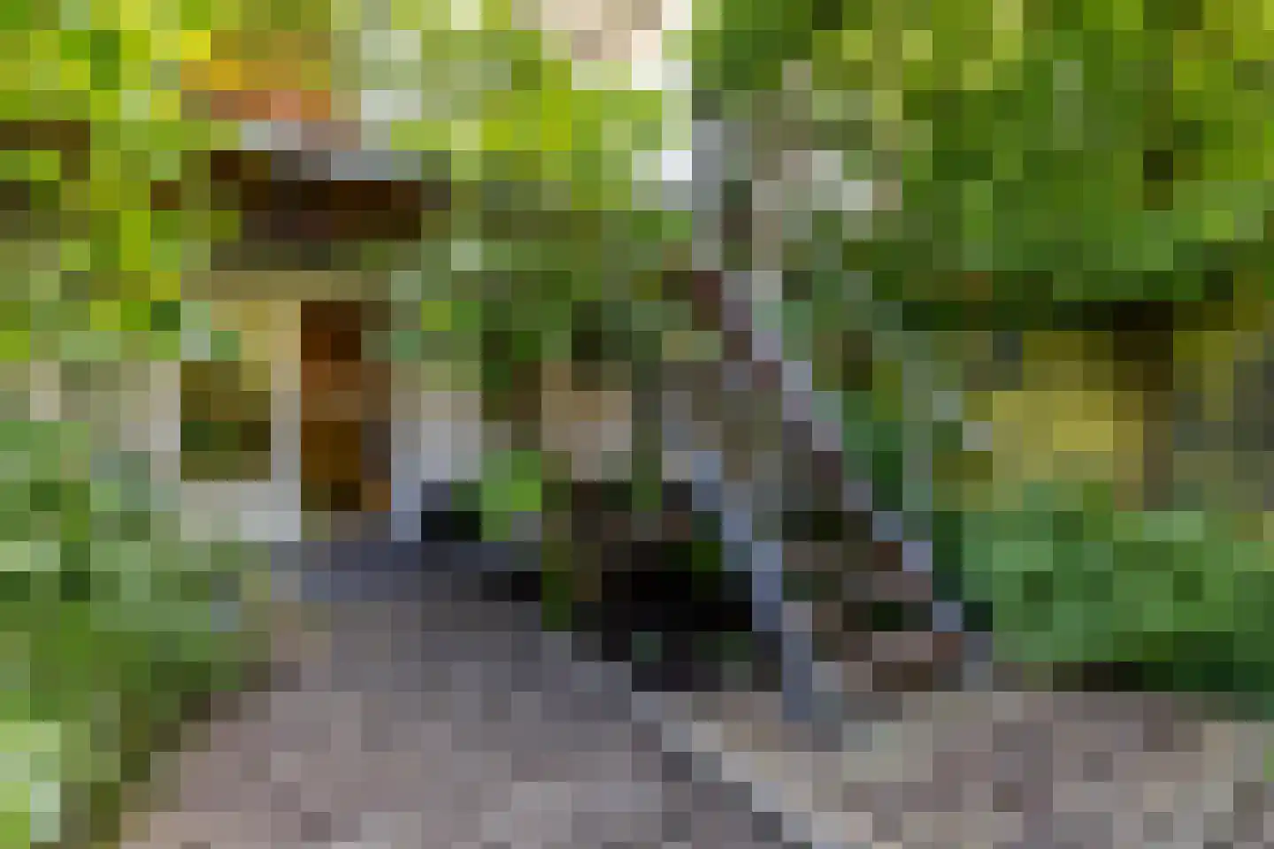 Lisstraat 35 B Rotterdam thumbnail 39