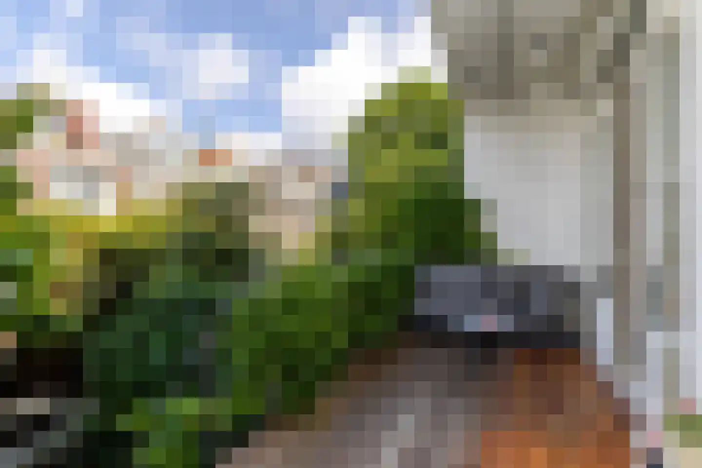 Lisstraat 35 B Rotterdam thumbnail 4
