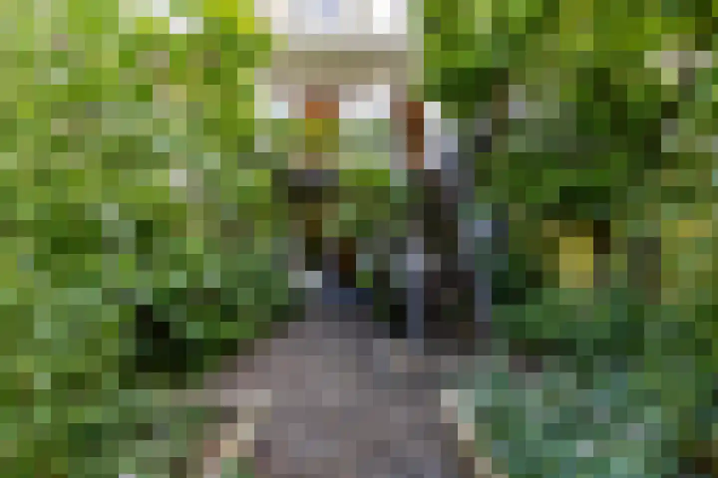 Lisstraat 35 B Rotterdam thumbnail 9