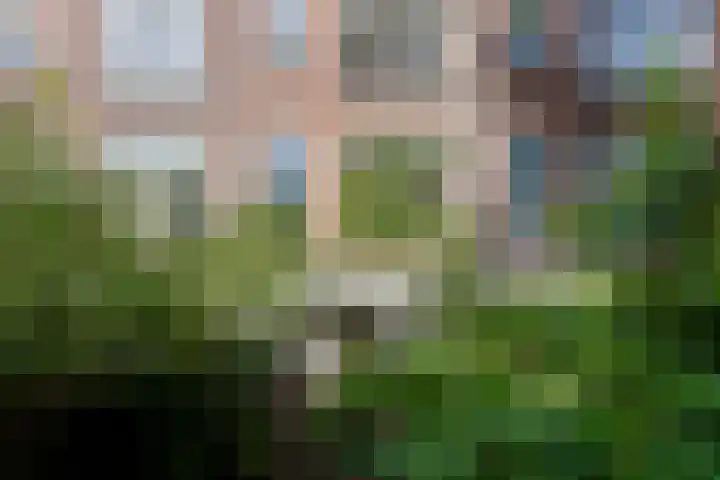 Lisstraat 40 B Rotterdam thumbnail 51