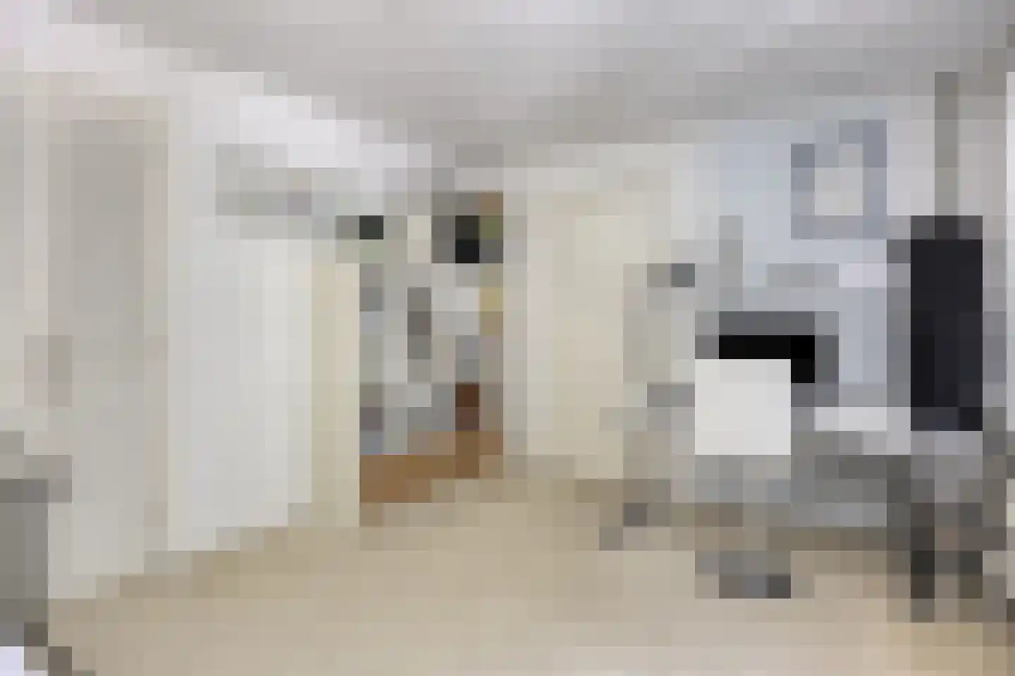 Lisstraat 72 Spijkenisse thumbnail 23