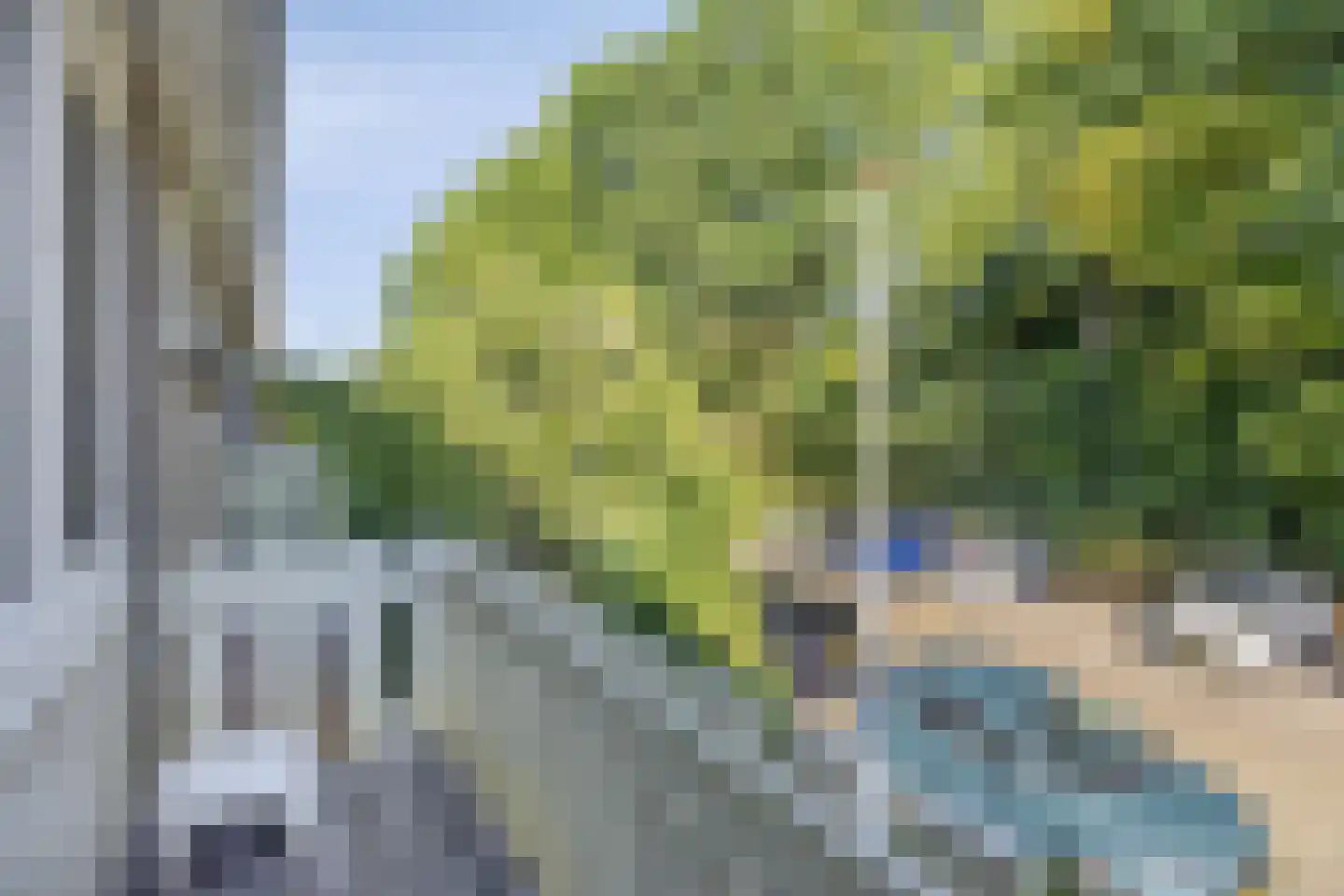 Lisstraat 72 Spijkenisse thumbnail 24