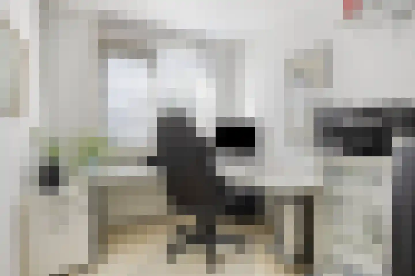 Lisstraat 72 Spijkenisse thumbnail 25