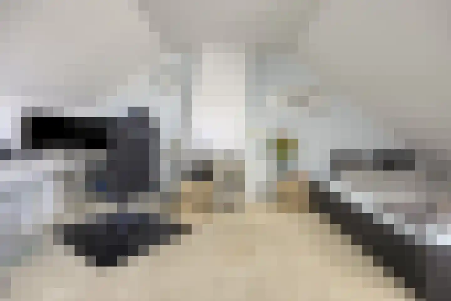 Lisstraat 72 Spijkenisse thumbnail 29
