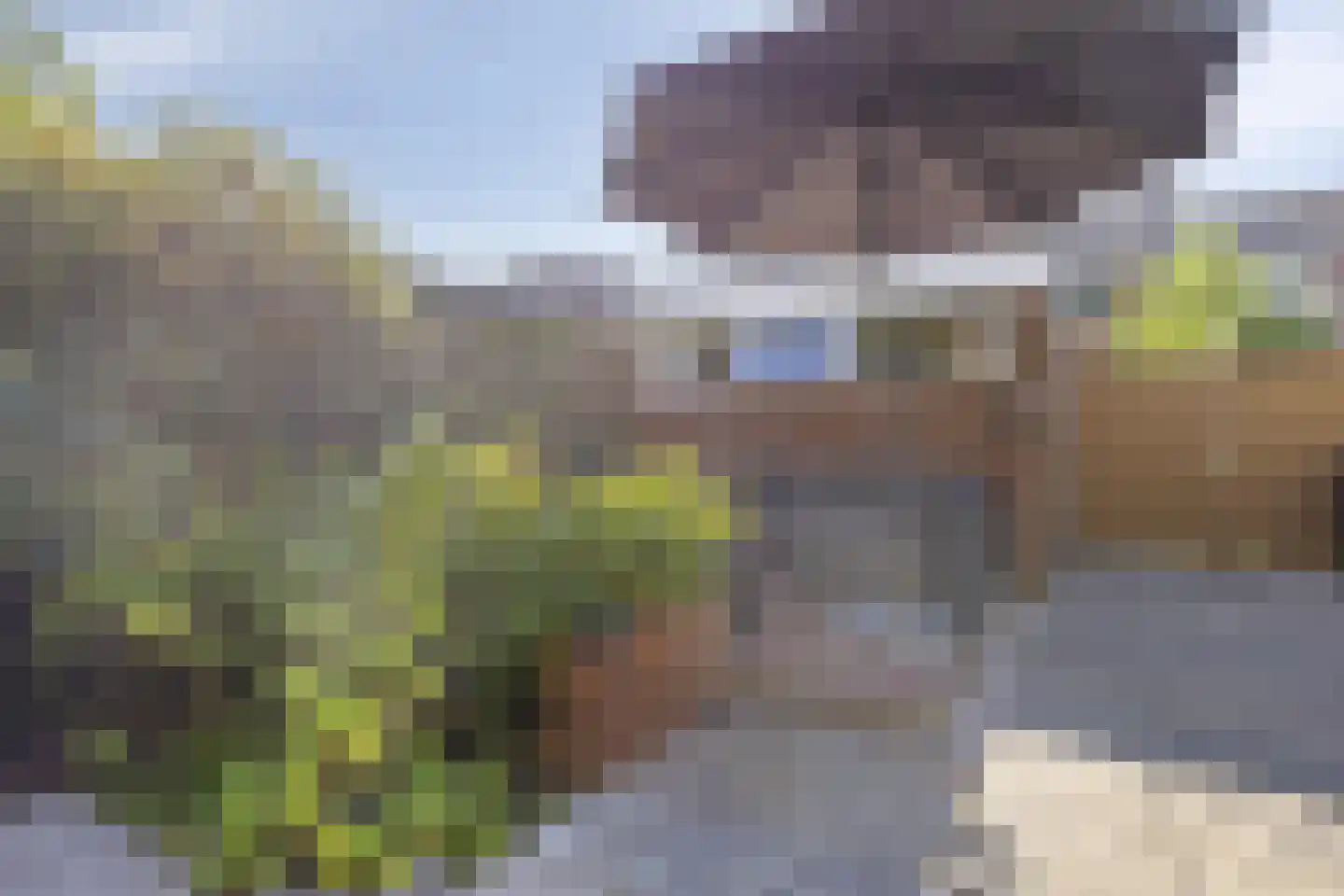 Lisstraat 72 Spijkenisse thumbnail 33