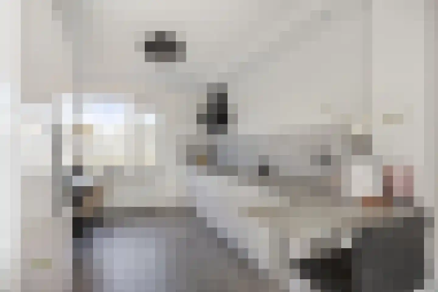 Lisstraat 92 A Spijkenisse thumbnail 17