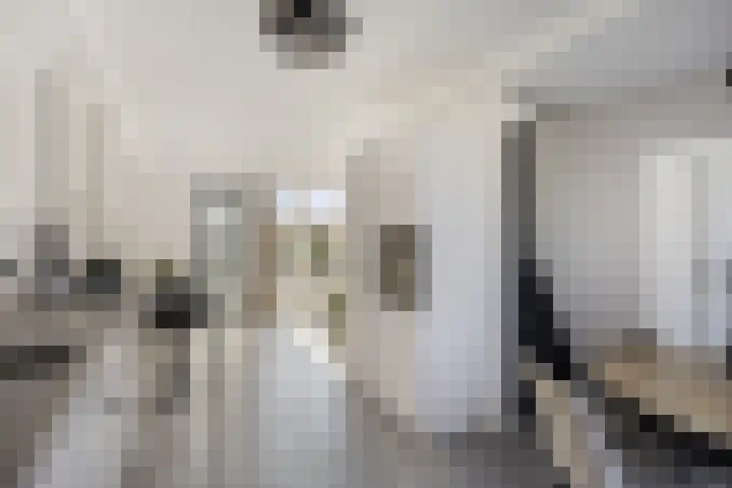 Lisstraat 92 A Spijkenisse thumbnail 18