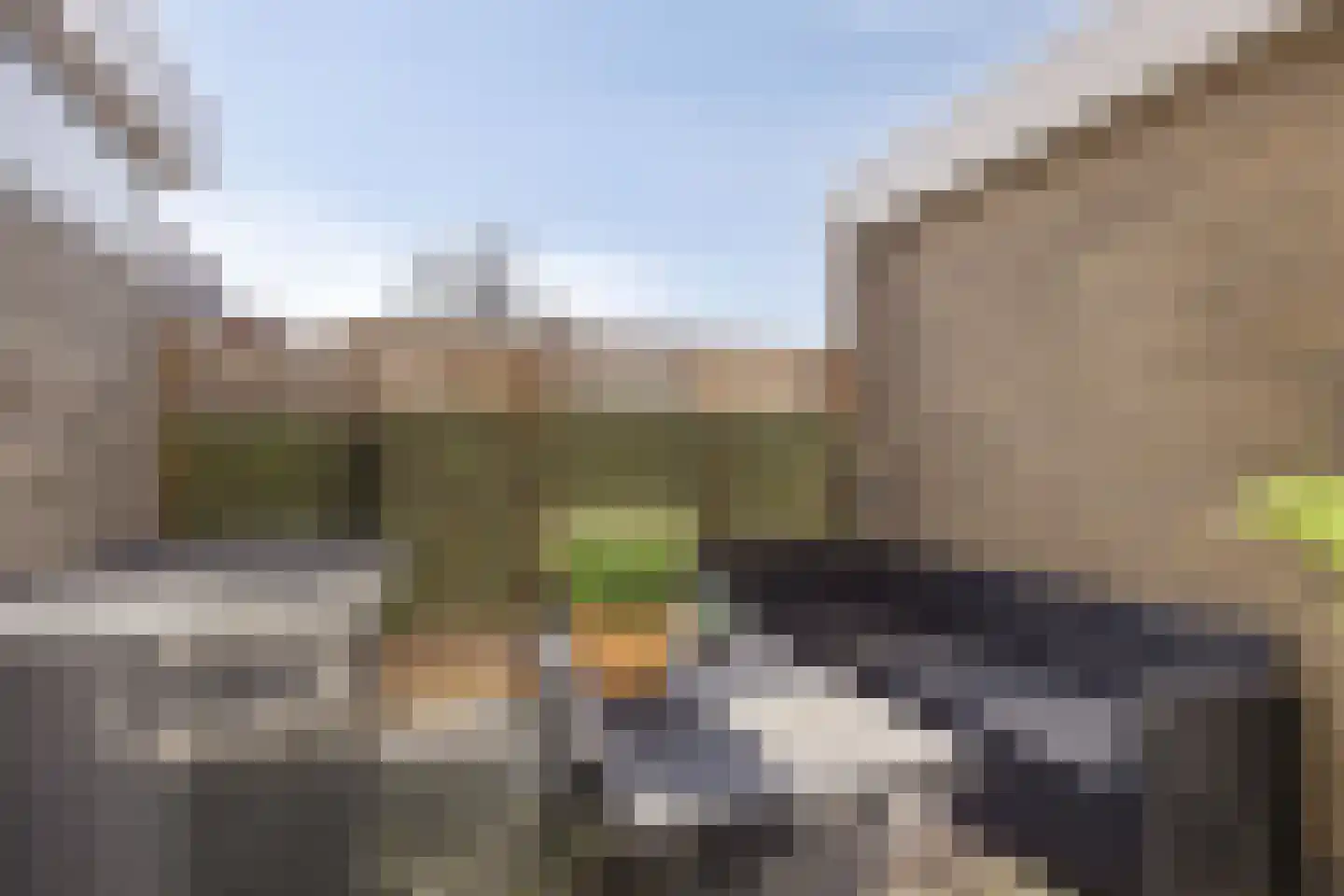 Lisstraat 92 A Spijkenisse thumbnail 25