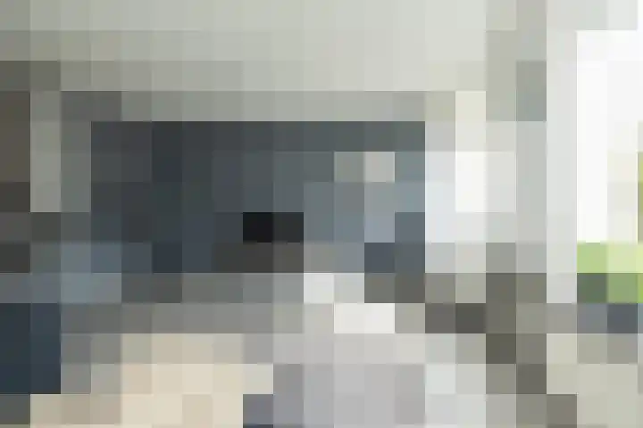 Listerhof 5 Hoogeveen thumbnail 13
