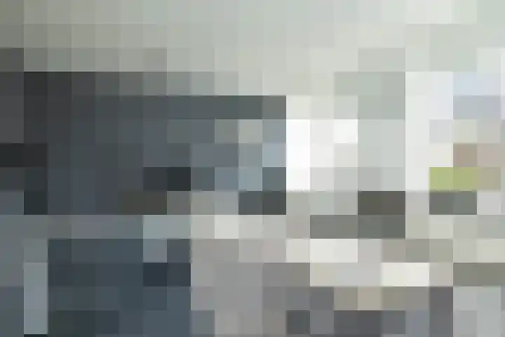 Listerhof 5 Hoogeveen thumbnail 14