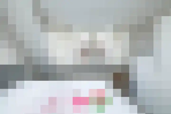 Listerhof 5 Hoogeveen thumbnail 26