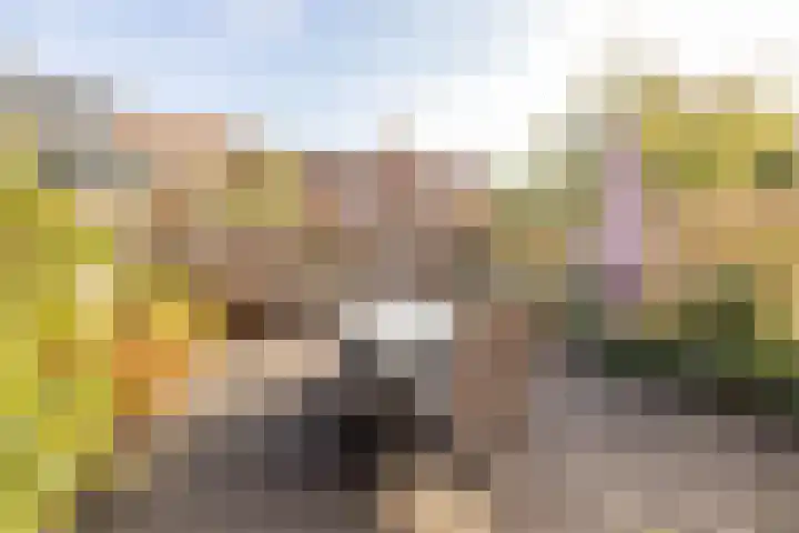 Listerhof 5 Hoogeveen thumbnail 45