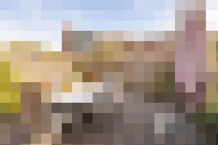 Listerhof 5 Hoogeveen thumbnail 46