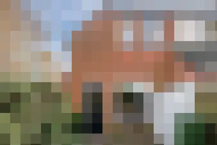 Listerhof 55 Hoogeveen