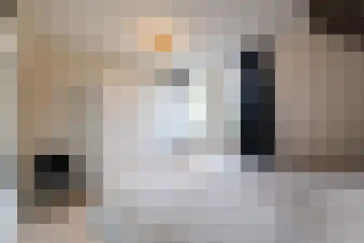 Listerhof 55 Hoogeveen thumbnail 18