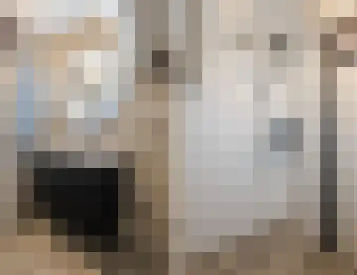 Listerhof 55 Hoogeveen thumbnail 27