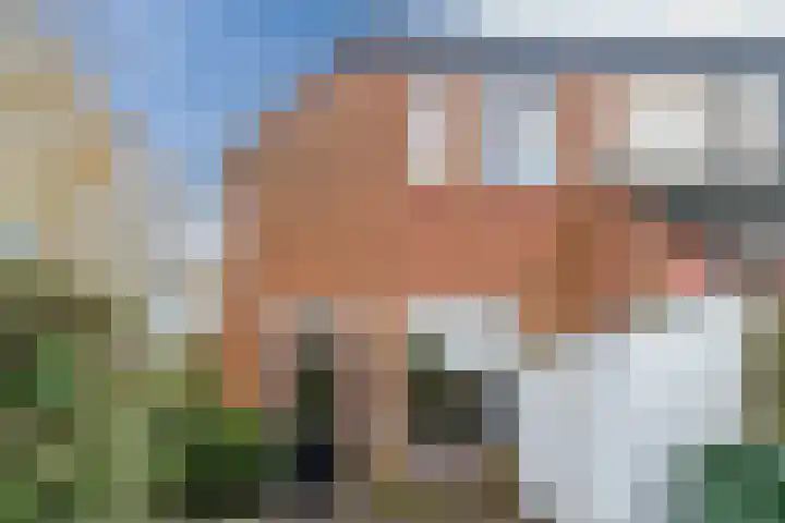 Listerhof 55 Hoogeveen thumbnail 28