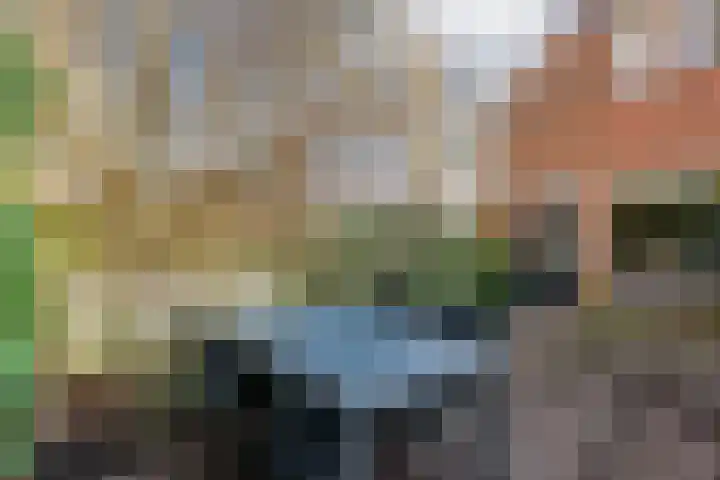 Listerhof 55 Hoogeveen thumbnail 29