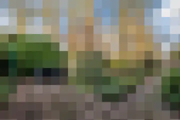 Listerhof 55 Hoogeveen thumbnail 30