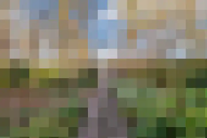 Listerhof 55 Hoogeveen thumbnail 31
