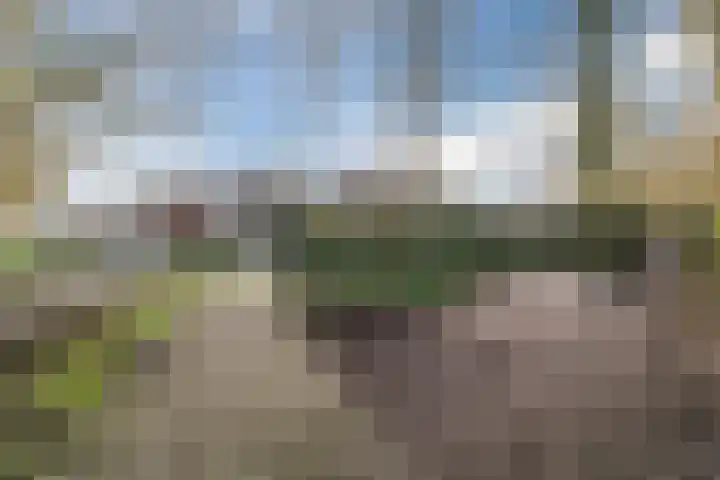 Listerhof 55 Hoogeveen thumbnail 34
