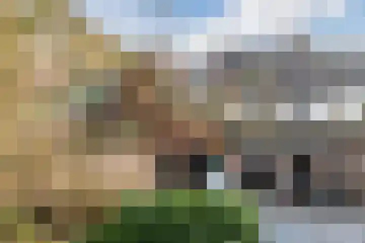 Listerhof 55 Hoogeveen thumbnail 36
