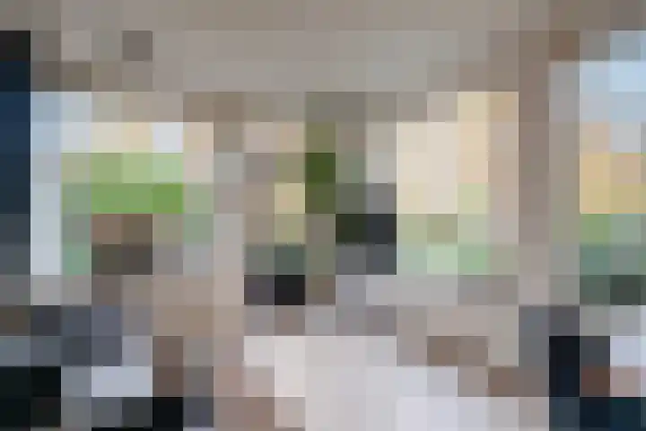 Listerhof 55 Hoogeveen thumbnail 5