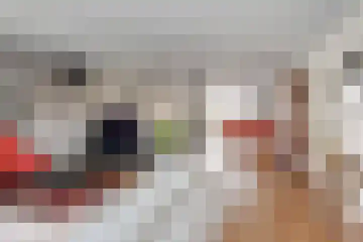 Lisven 16 Eindhoven thumbnail 11
