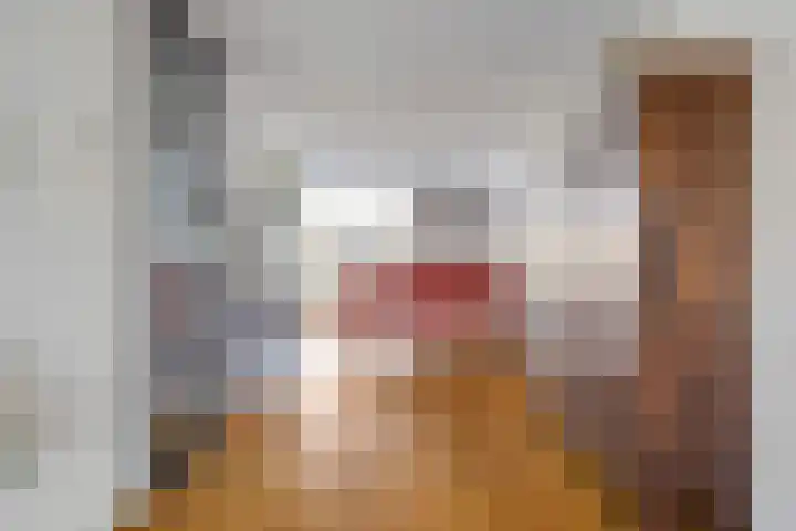 Lisven 16 Eindhoven thumbnail 12