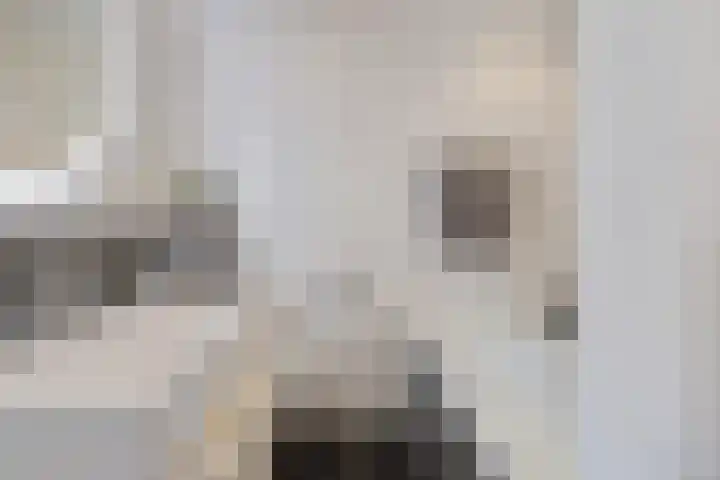 Lisven 16 Eindhoven thumbnail 15
