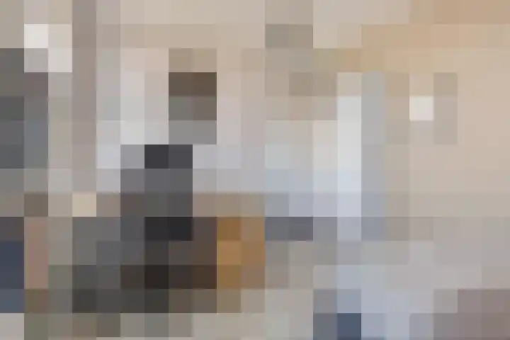 Lisven 16 Eindhoven thumbnail 19