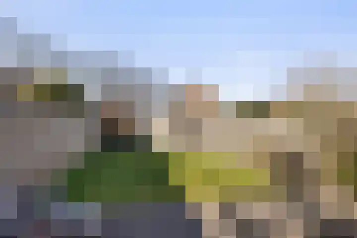 Lisven 16 Eindhoven thumbnail 28