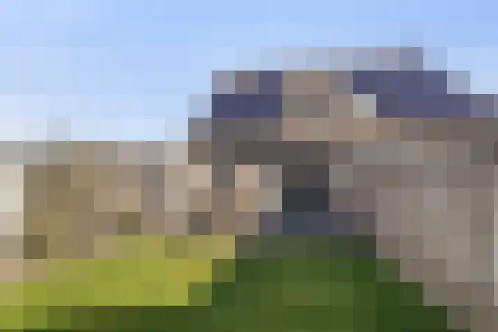 Lisven 16 Eindhoven thumbnail 30