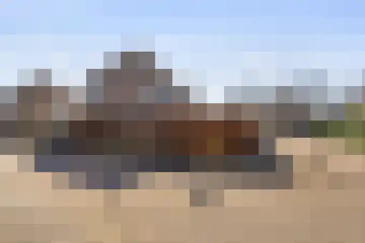 Lisven 16 Eindhoven thumbnail 37