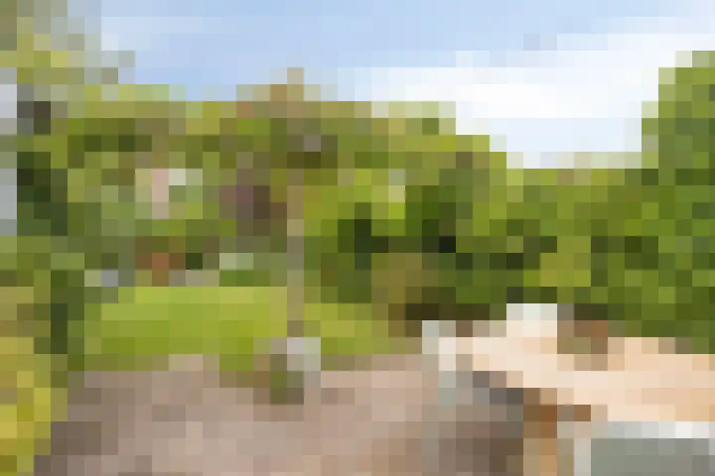 Lisven 19 Eindhoven thumbnail 25