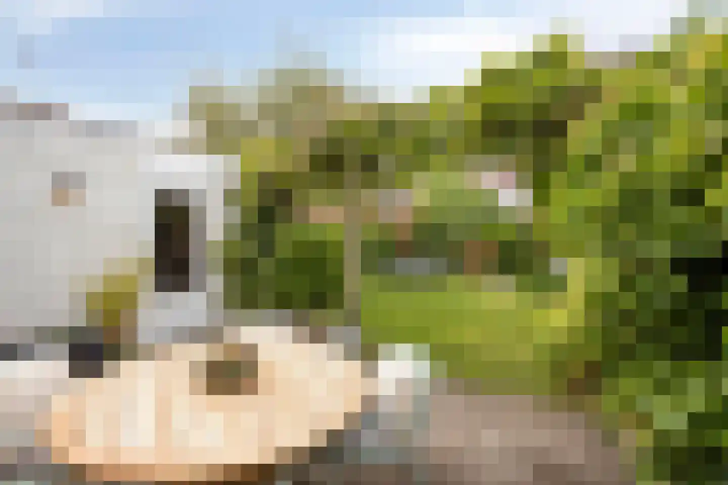 Lisven 19 Eindhoven thumbnail 26