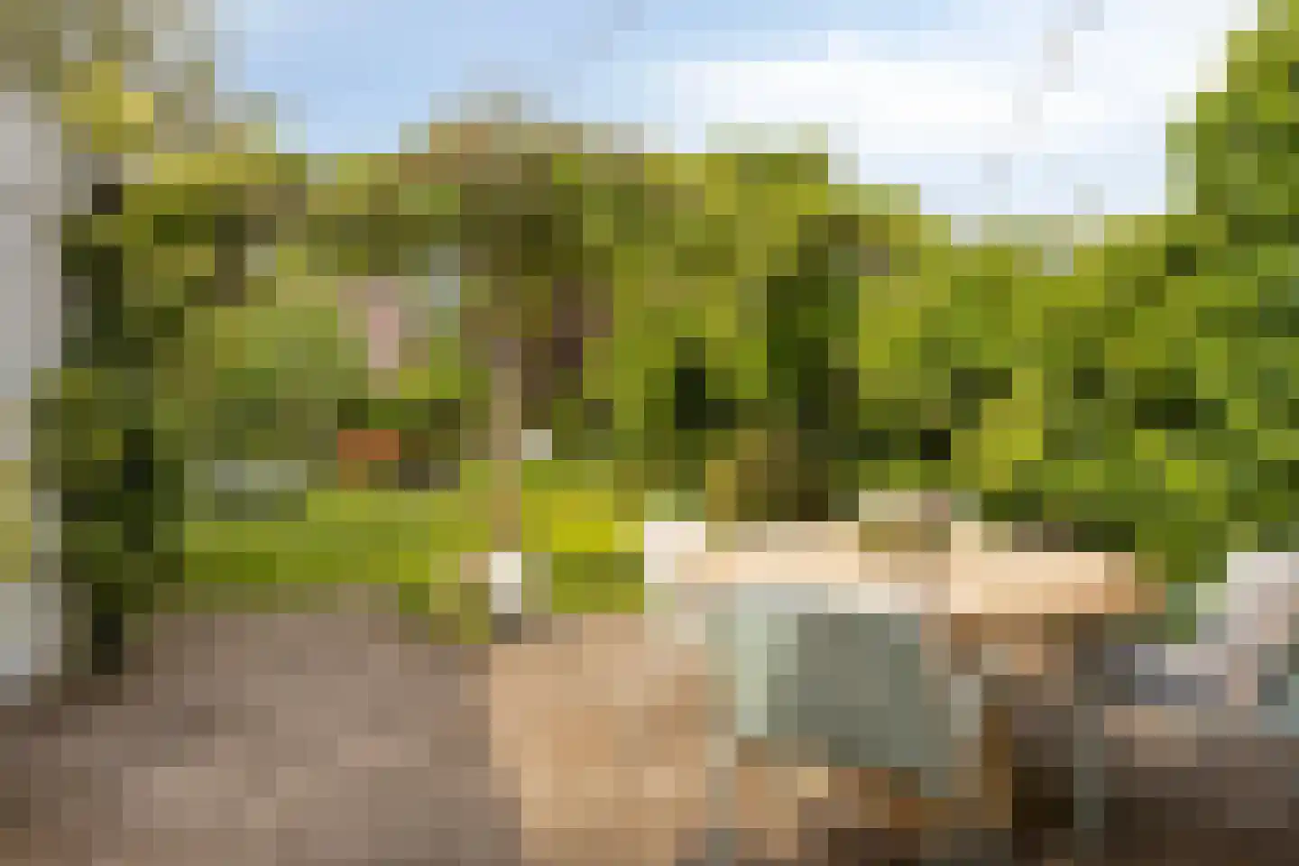 Lisven 19 Eindhoven thumbnail 32