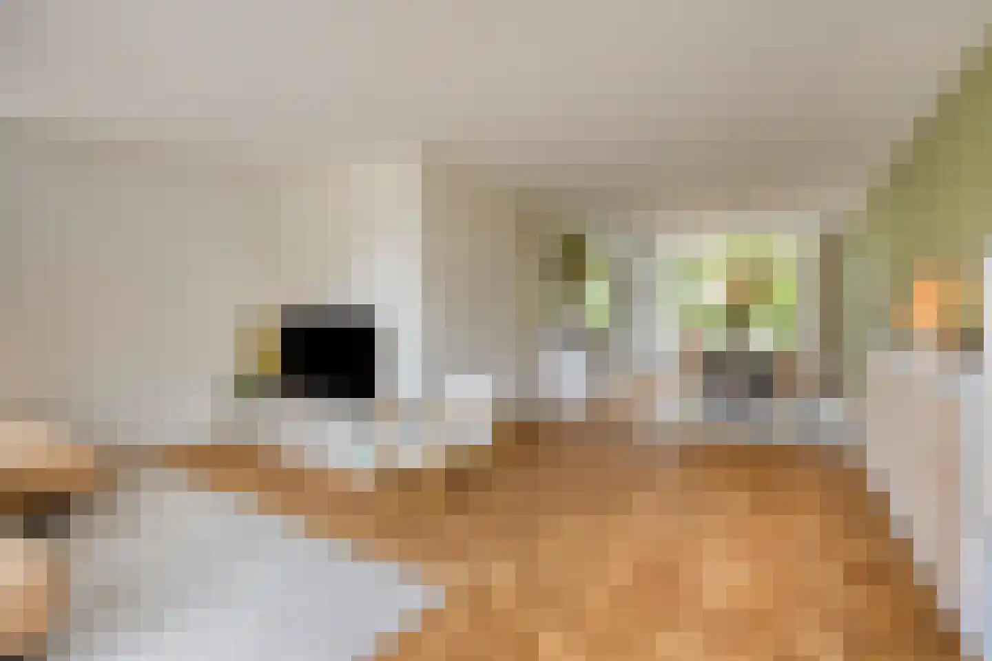 Lisven 19 Eindhoven thumbnail 4