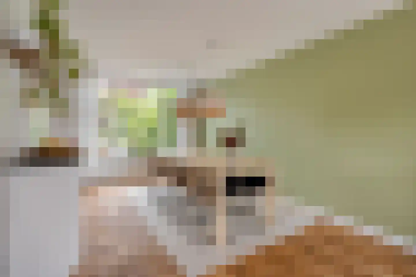Lisven 19 Eindhoven thumbnail 5