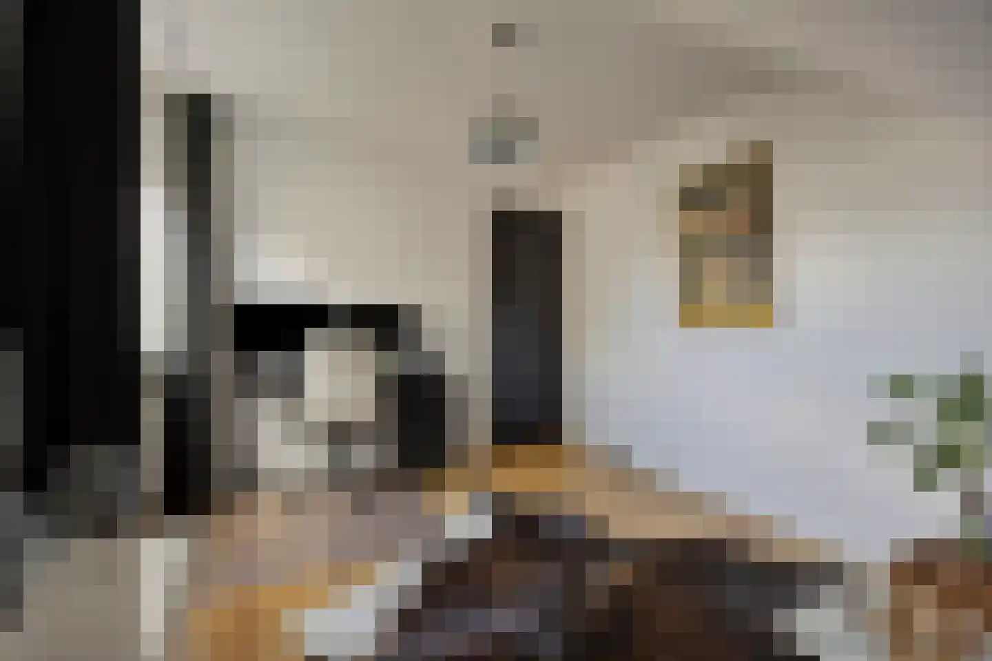 Lisven 24 Eindhoven thumbnail 32