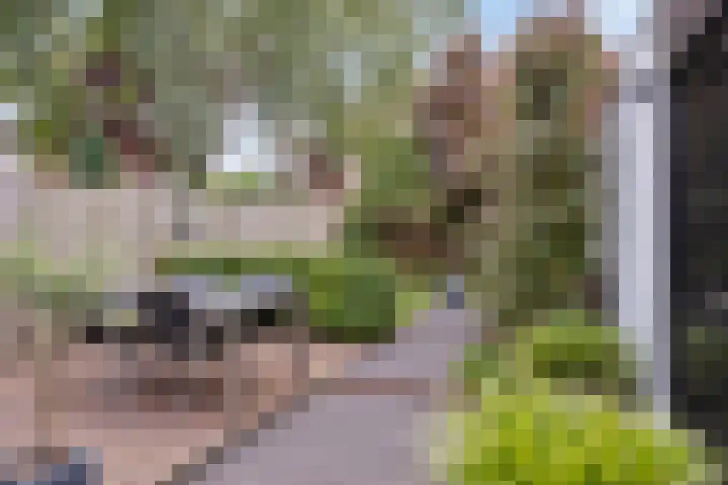 Lisven 24 Eindhoven thumbnail 39