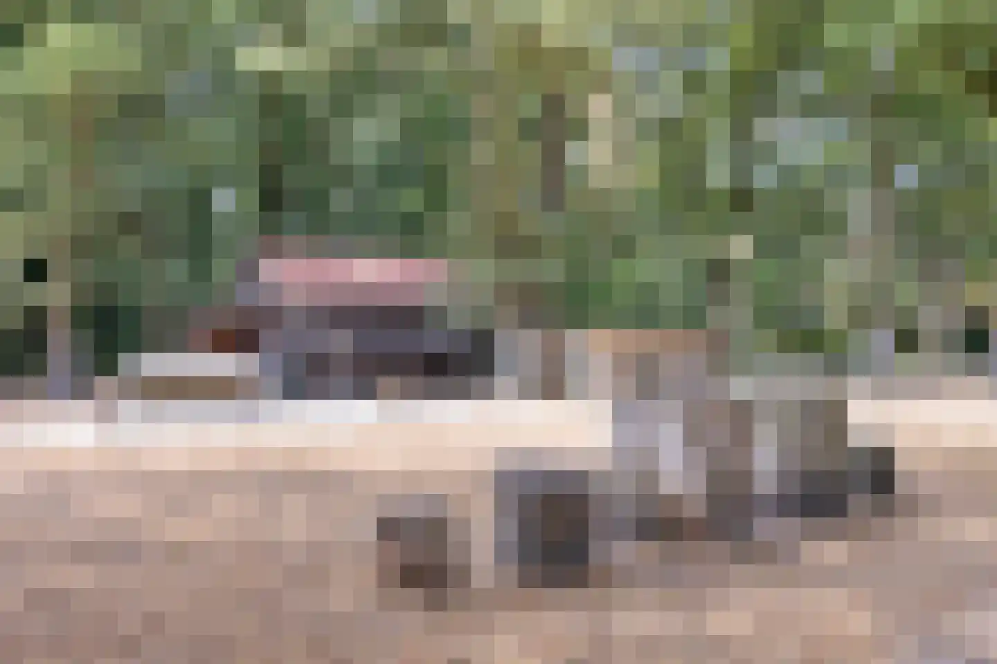 Lisven 24 Eindhoven thumbnail 44