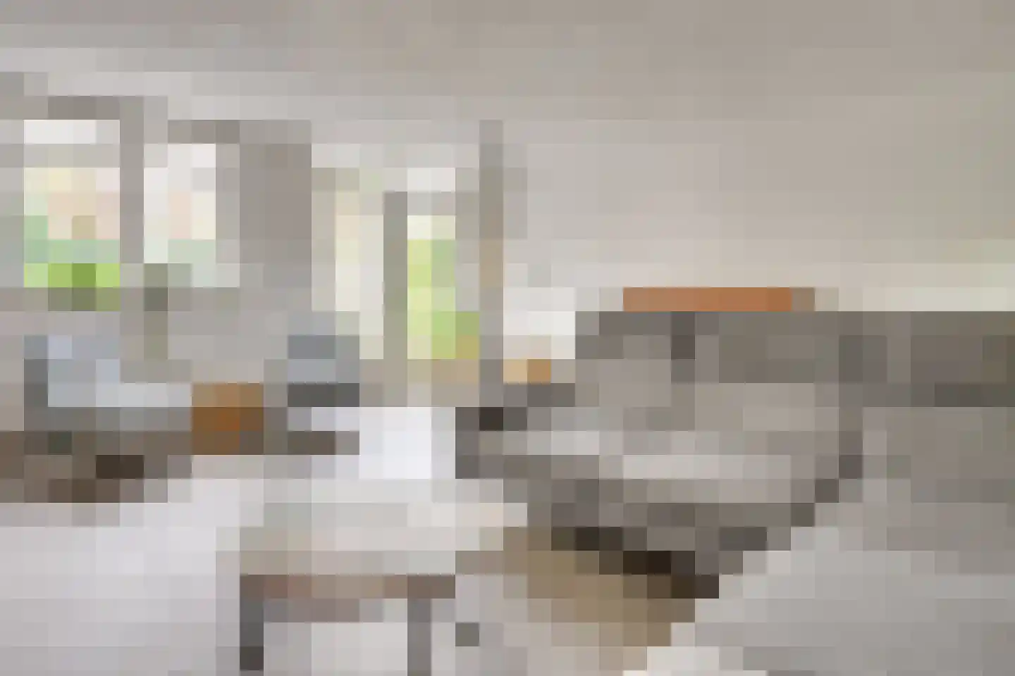 Lisvoort 15 Helmond thumbnail 16