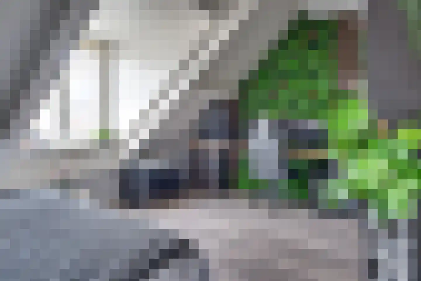 Lisvoort 15 Helmond thumbnail 32