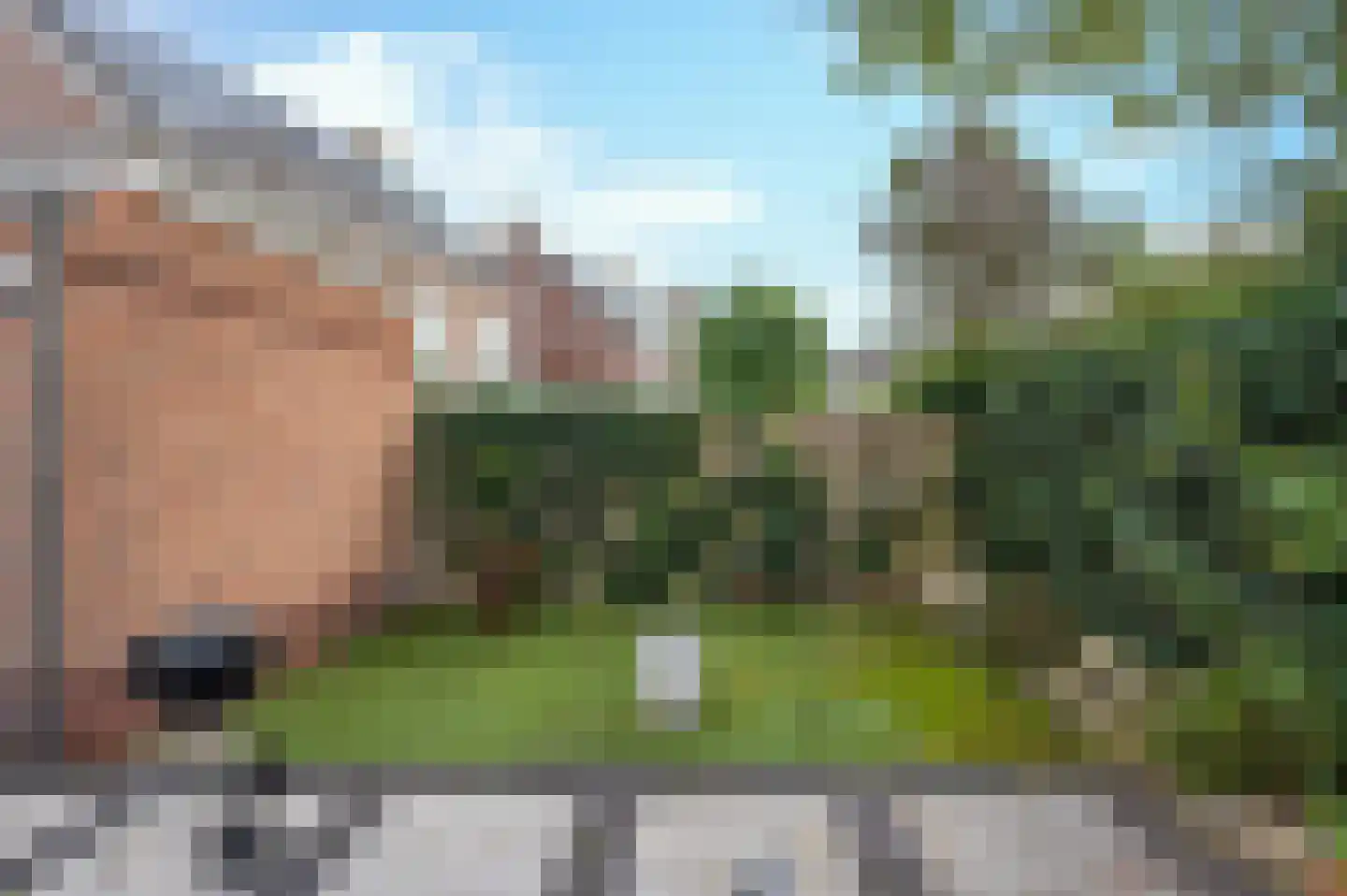 Lisvoort 15 Helmond thumbnail 37
